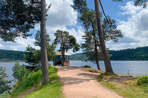 Wanderung rund um den Schluchsee