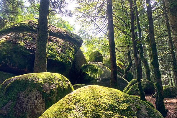Günterfelsen am Brend bei Furtwangen