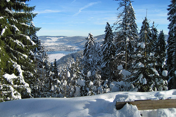 Winter am Titisee